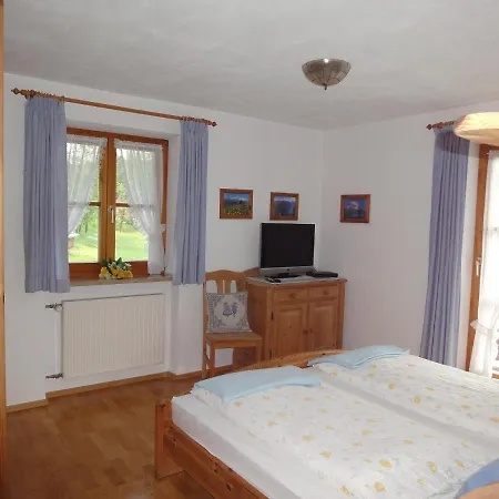 Apartment Ferienwohnung Springl *